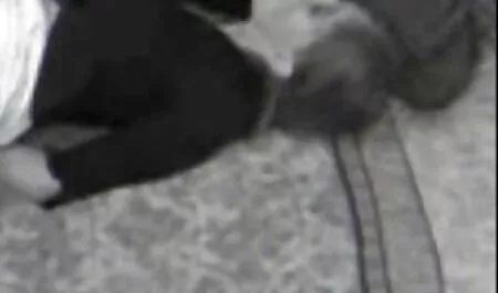 Vruća suza veselo skače na jakog člana svog novog prijatelja. Već dugo nije primila tako jebeno trljanje anime porno monster jer je muškarac ruga u vrućim rupama poput lude