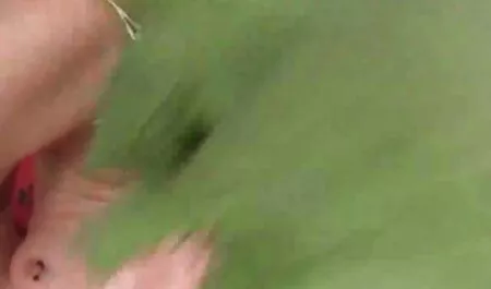 Gladio henthai porno djevojka magarca dildo